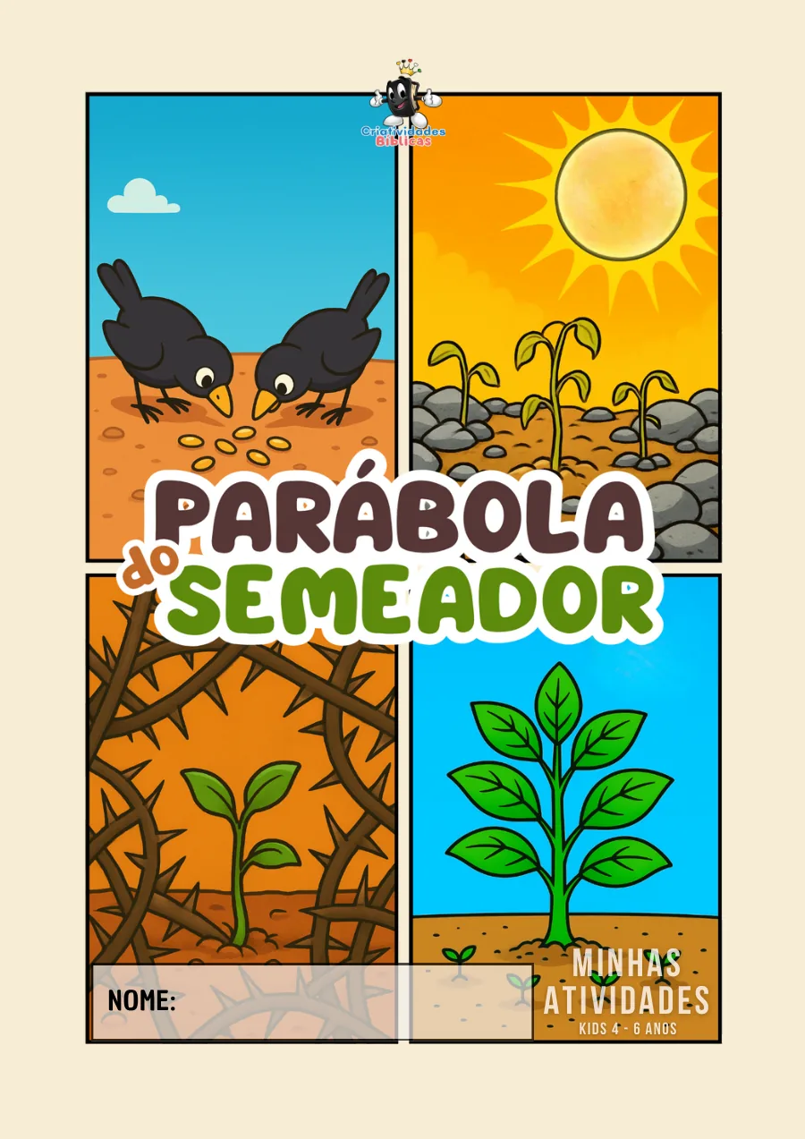 Capas do material